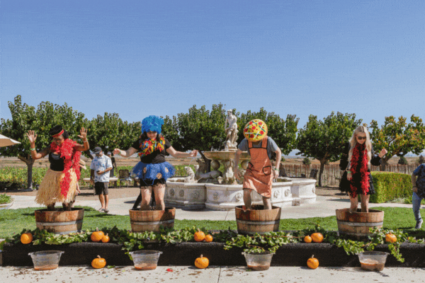 Grape Stomp 2025 in SONOMA at Jacuzzi Family Vineyards