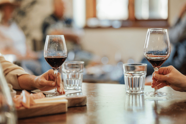 Group Wine Tasting in Sonoma, California