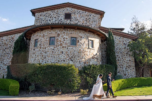 Wedding couple walking dogs