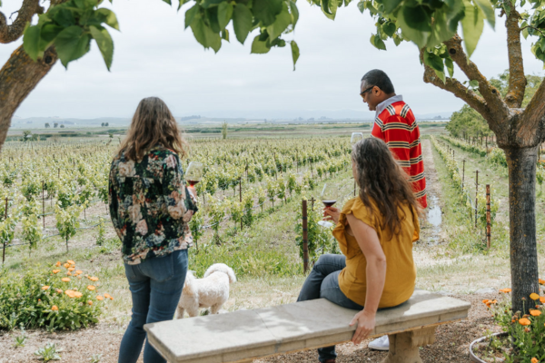 Journey Through Jacuzzi Winery Tour in Sonoma, California