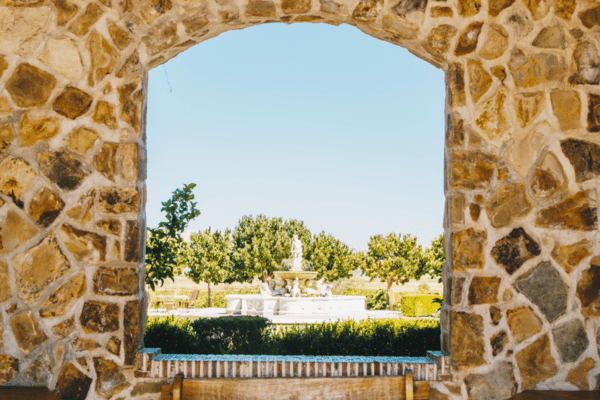 Wine & Vineyard Views