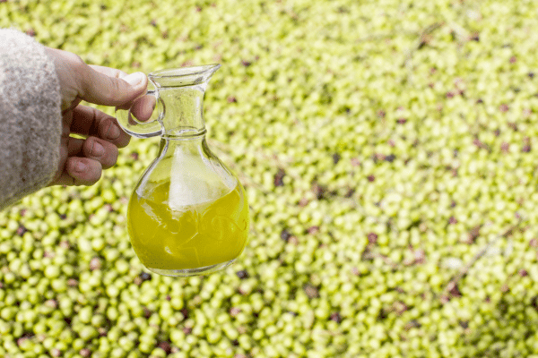 Olive Oil 101